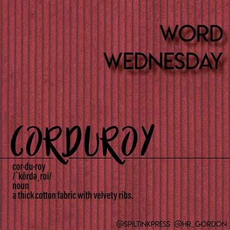 corduroy noun .